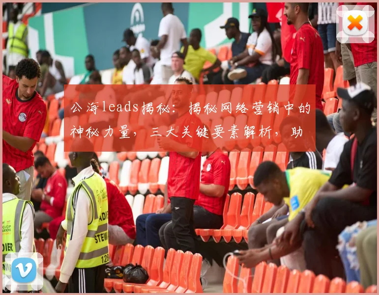 公海leads揭秘：揭秘网络营销中的神秘力量，三大关键要素解析，助力企业增长