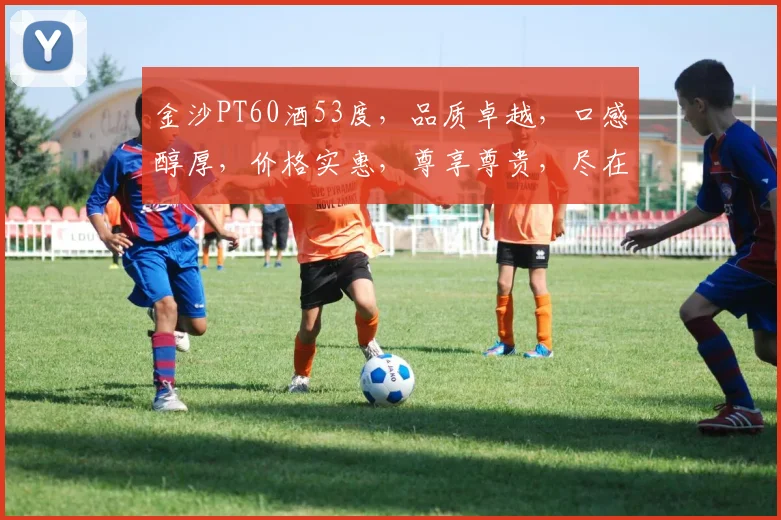 金沙PT60酒53度，品质卓越，口感醇厚，价格实惠，尊享尊贵，尽在品味之间，不容错过